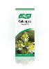 Galeopsis 50ml